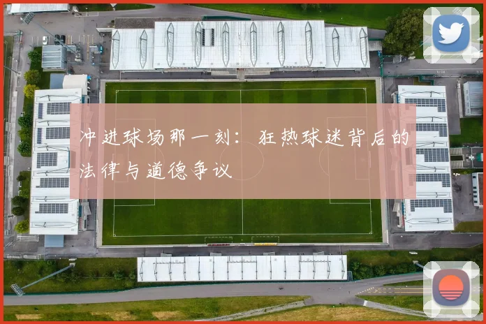 冲进球场那一刻：狂热球迷背后的法律与道德争议